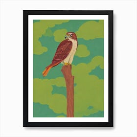 Red Tailed Hawk Midcentury Illustration Bird Art Print