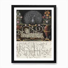 Flower Arrangements, Peacock, Butterflies, And Insect From Mira Calligraphiae Monumenta, Joris Hoefnagel Art Print