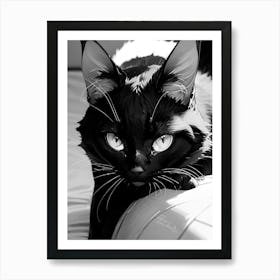 Black Cat (B&W) Art Print