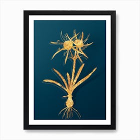 Vintage Streambank Spiderlily Botanical in Gold on Teal Blue n.0214 Art Print