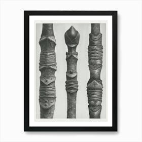 Different Varieties Of Maple (1928), Karl Blossfeldt Art Print