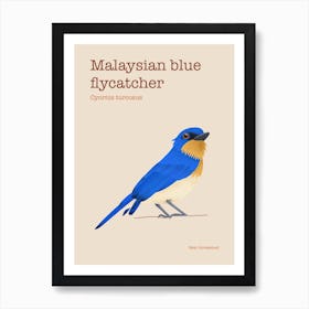 Malaysian blue flycatcher poster Art Print