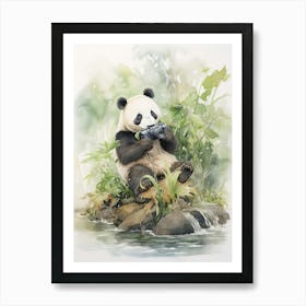 Panda Art Photographing Watercolour 4 Art Print