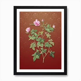Vintage Pink Flowering Rosebush Botanical on Falu Red Pattern n.0478 Art Print