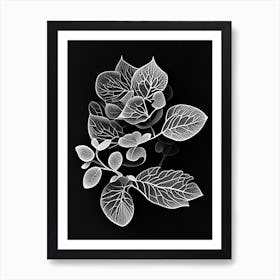 Purslane Leaf Linocut 2 Art Print