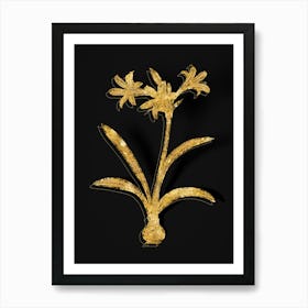 Vintage Amaryllis Botanical in Gold on Black n.0187 Art Print