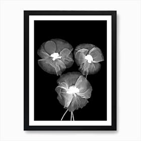 Black And White Delicate Flowers Art Print