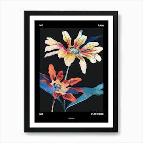 No Rain No Flowers Poster Cineraria 3 Art Print