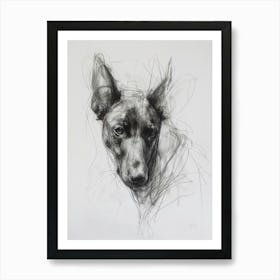 Belgian Malinois Dog Charcoal Line 3 Art Print