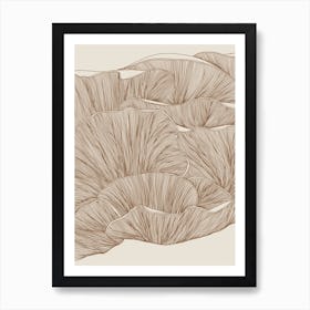 Oyster Mushrooms Art Print