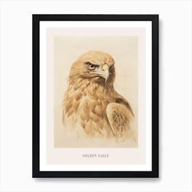 Vintage Bird Drawing Golden Eagle Poster Art Print