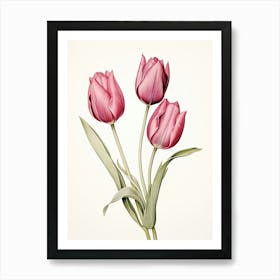 Tulips Flower Vintage Botanical 3 Art Print