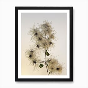Florales · Plant End 7 Art Print