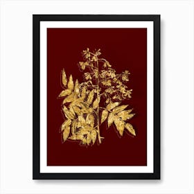 Vintage Japanese Pagoda Tree Botanical in Gold on Red n.0043 Art Print