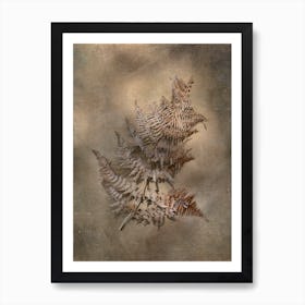 Earthy Ferns 3 Art Print