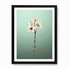 Gold Botanical Madonna Lily on Mint Green n.3472 Art Print