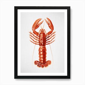 Lobster - Watercolor Art Print