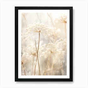 Boho Dried Flowers Queen Annes Lace 5 Art Print