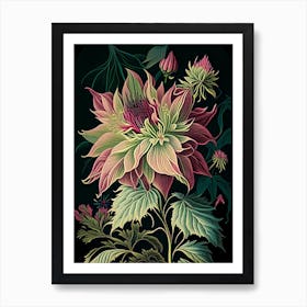 Dahlia Imperialis 1 Floral Botanical Vintage Poster Flower Art Print