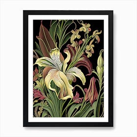 Lily Floral 2 Botanical Vintage Poster Flower Art Print