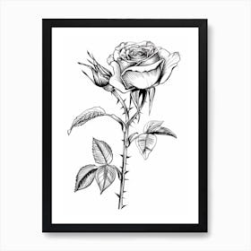 Black And White Rose Line Drawing 8 Art Print