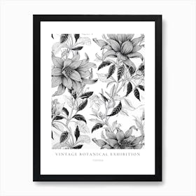 Fuchsia B&W Vintage Botanical Poster Art Print