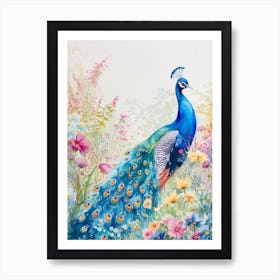 Peacock In A Floral Meadow Watercolour 2 Art Print