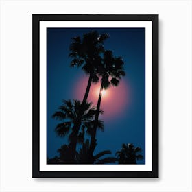 Palm Tree Photography Print 'Deia' Art Print