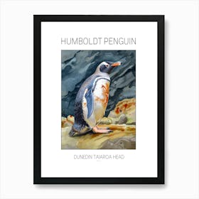 Humboldt Penguin Dunedin Taiaroa Head Watercolour Painting 3 Poster Art Print