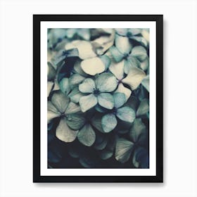 Flowers - The Blues Art Print