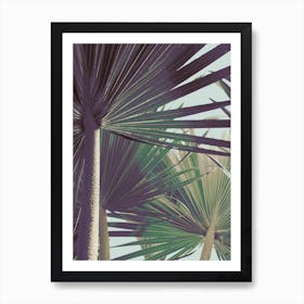 Palm I Art Print