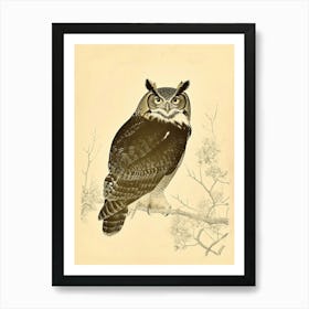 Verreauxs Eagle Owl Vintage Illustration 1 Art Print