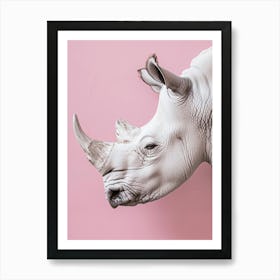 Rhinoceros 3 Póster