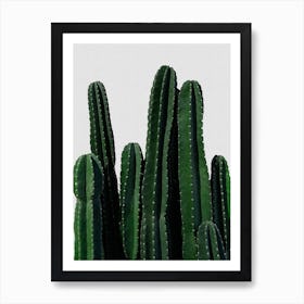Cactus I Art Print