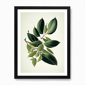 Wax Myrtle Leaf Vintage Botanical 3 Art Print