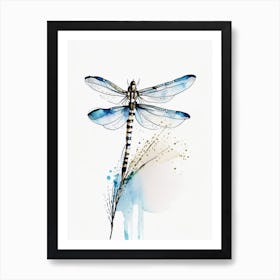 Common Whitetail Dragonfly Minimalist Watercolour 2 Art Print