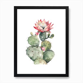 Spider Cactus Watercolour Drawing 3 Art Print