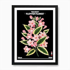 Flower Market Night Tokyo Japan Vintage Botanical Art Print