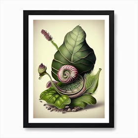 Assassin Snail  1 Botanical Art Print