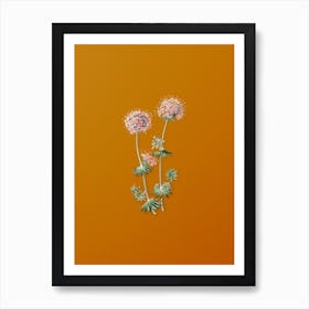 Vintage Crucianella Flower Branch Botanical on Sunset Orange n.0432 Art Print