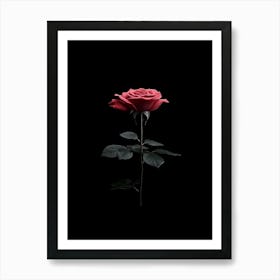 Single Rose On Black Background 21 Art Print