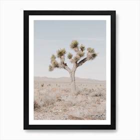 Single Desert Tree Art Print