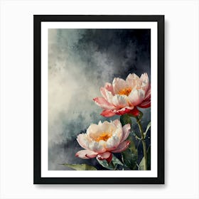 Chinese Peony Art Print