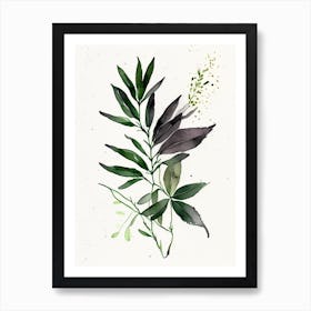 Licorice Herb Minimalist Watercolour Art Print