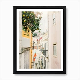 Lisbon Lemon Tree Street Art Print