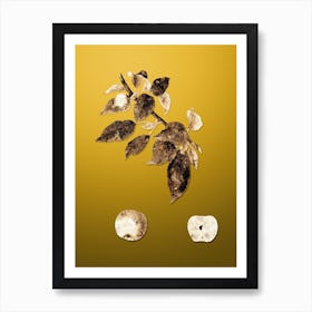 Gold Botanical Apple on Mango Yellow n.3516 Art Print