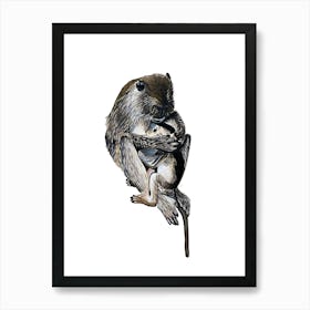 Mother and baby monkey Art Print