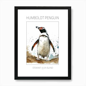 Humboldt Penguin Stewart Island Ulva Island Watercolour Painting 4 Poster Art Print