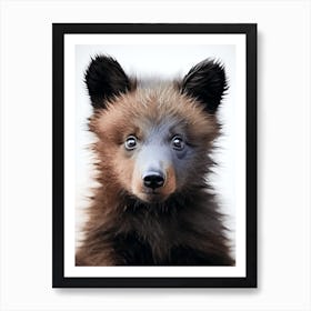 Color Photograph Of A Bear Cub 1 Art Print