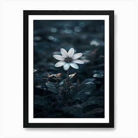 Dark Flower 36 Art Print